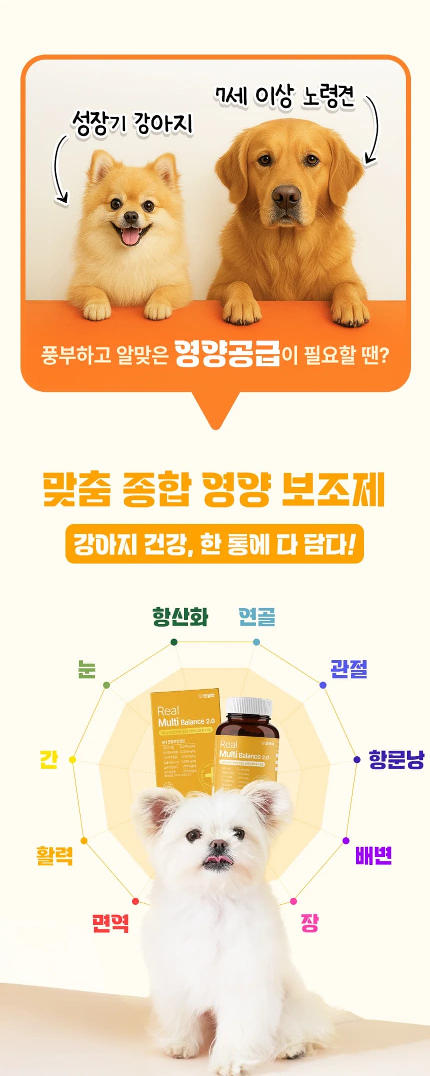 데일리케얼 멀티 2.0 (66g/120g)