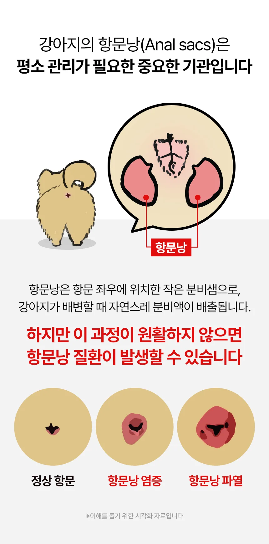 데일리케얼 멀티 2.0 (66g/120g)