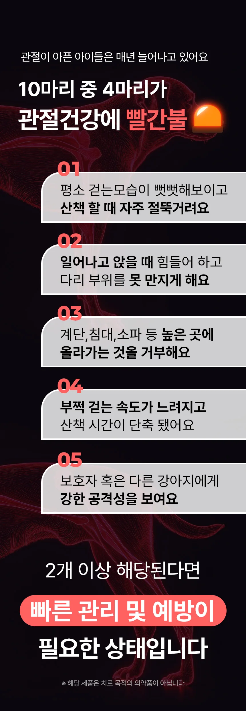 데일리케얼 칼슘 2.0 (66g/120g)