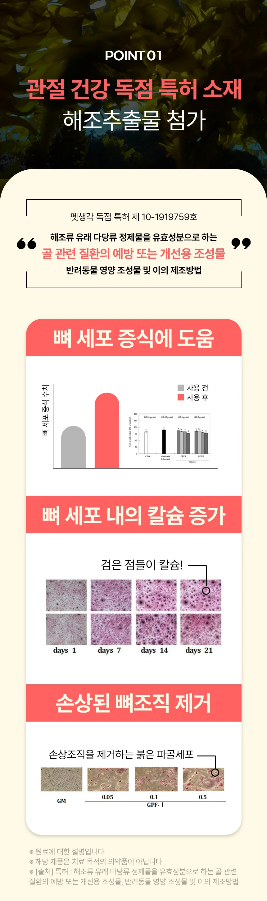 데일리케얼 칼슘 2.0 (66g/120g)