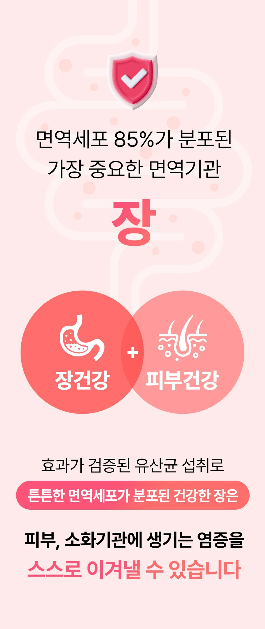 데일리케얼 스킨앤코트 강아지유산균 60g
