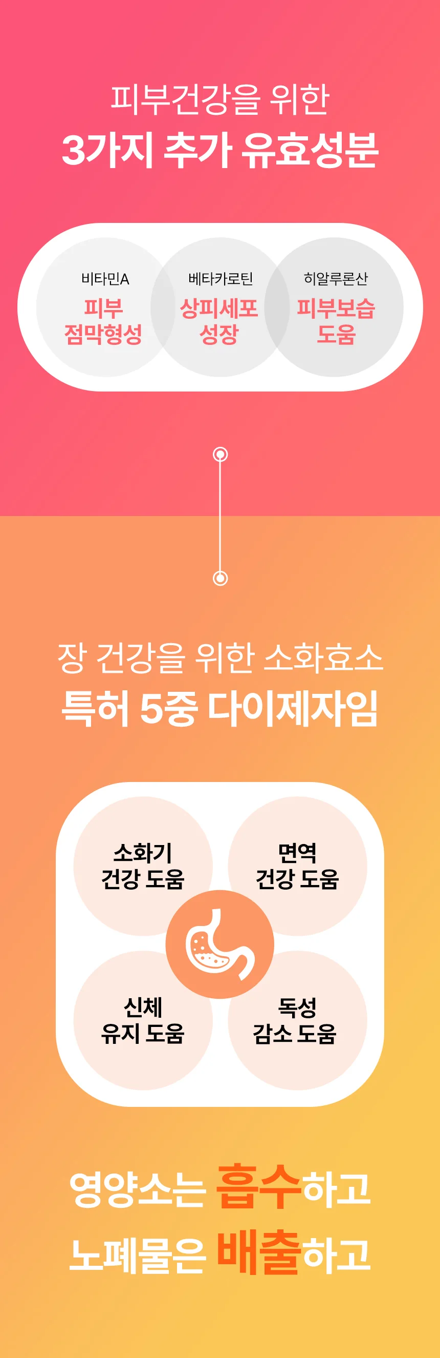 데일리케얼 스킨앤코트 강아지유산균 60g