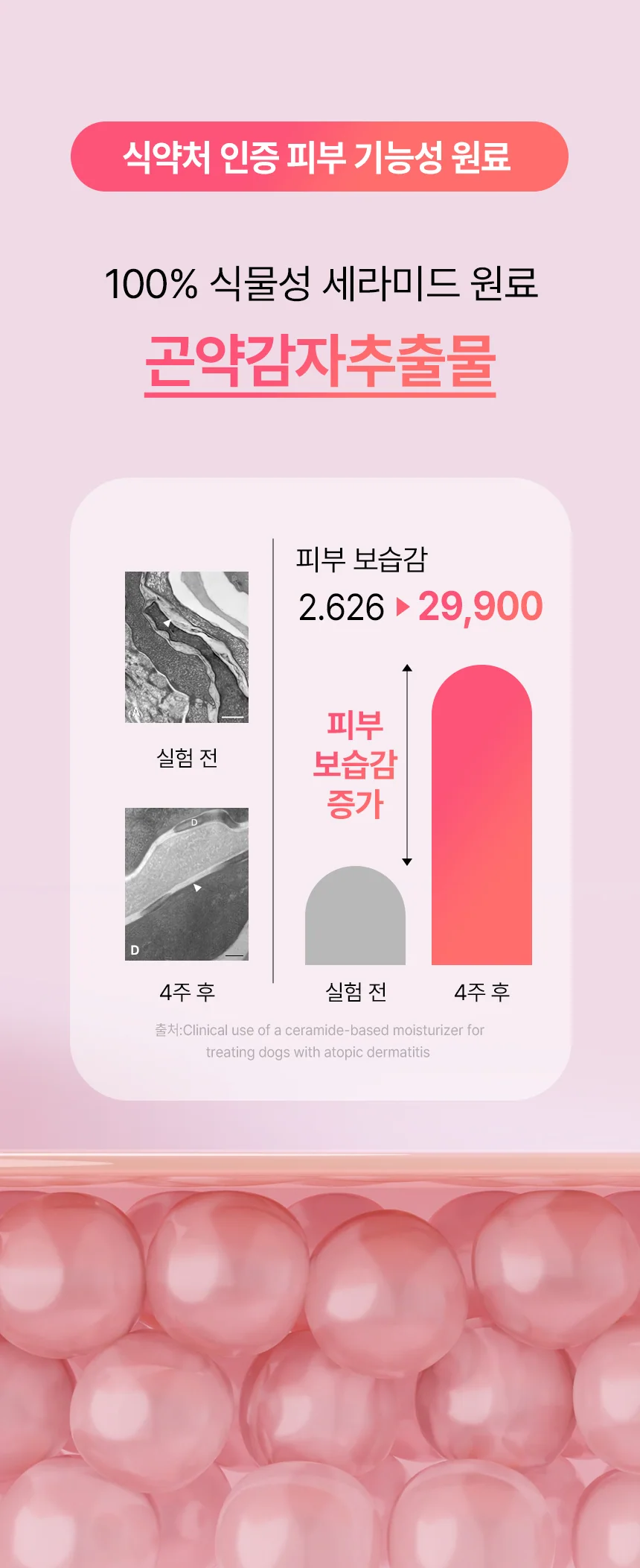 데일리케얼 스킨앤코트 강아지유산균 60g