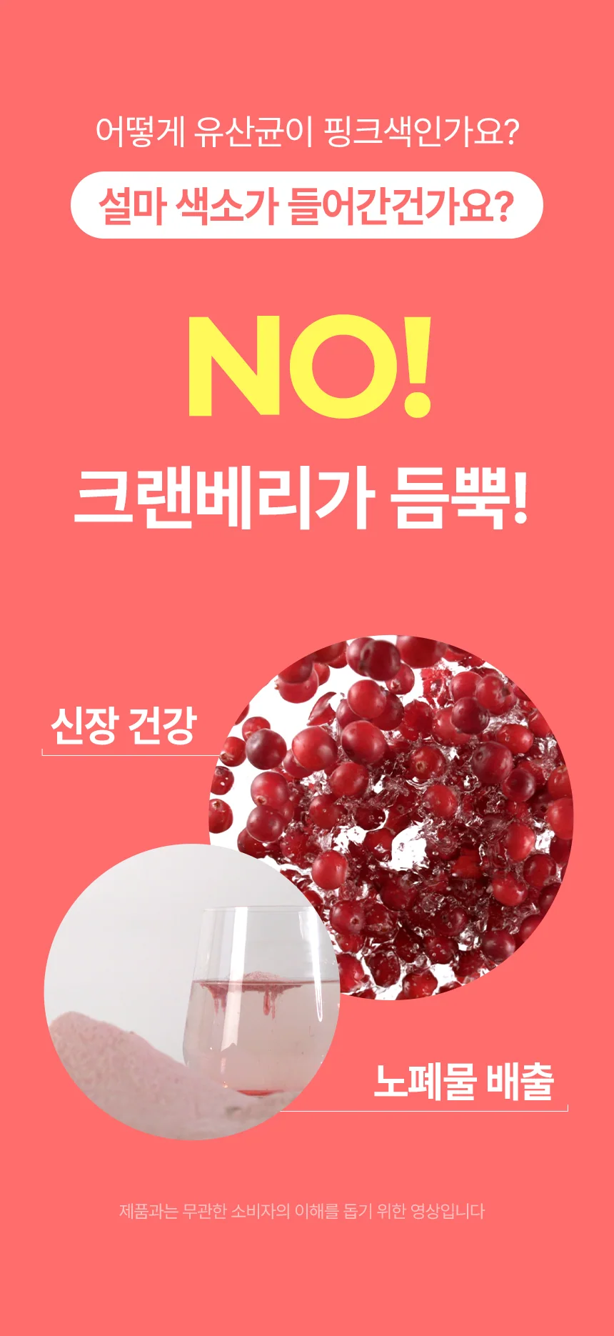 데일리케얼 스킨앤코트 강아지유산균 60g
