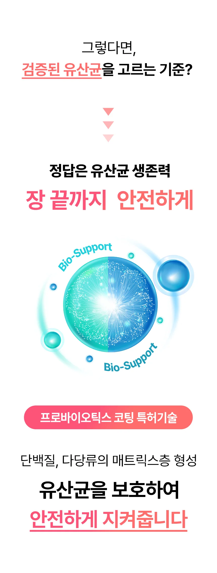 데일리케얼 스킨앤코트 강아지유산균 60g