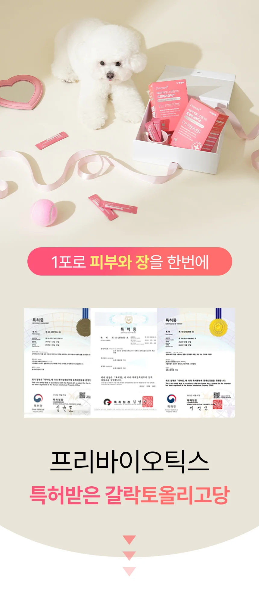 데일리케얼 스킨앤코트 강아지유산균 60g
