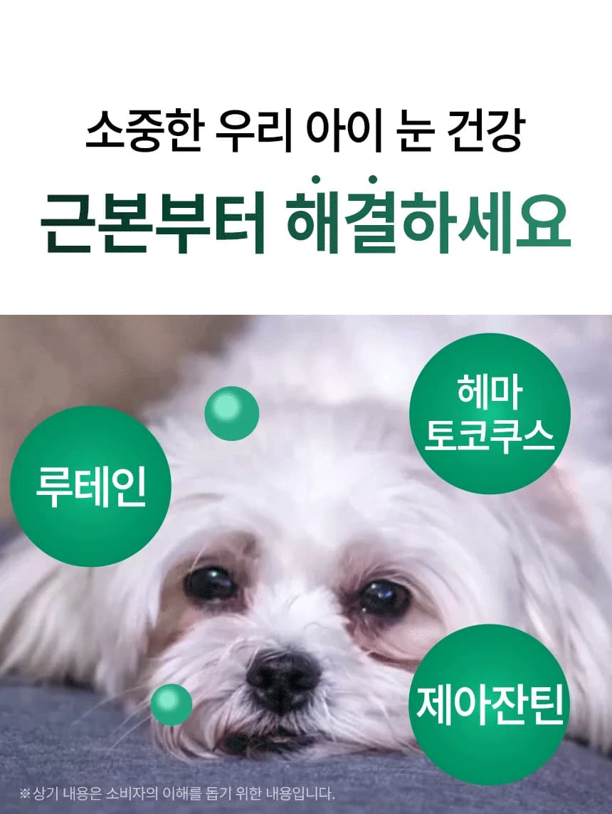 데일리케얼 루테인 3.0 (66g/120g)