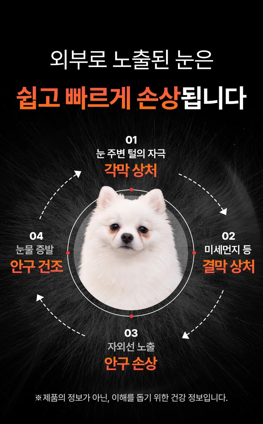 데일리케얼 루테인 3.0 (66g/120g)