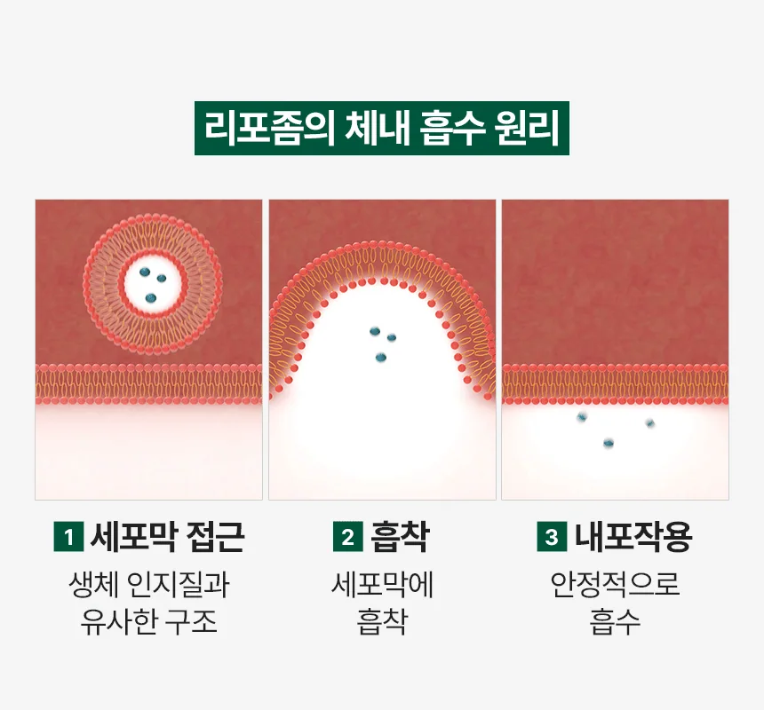 데일리케얼 루테인 3.0 (66g/120g)