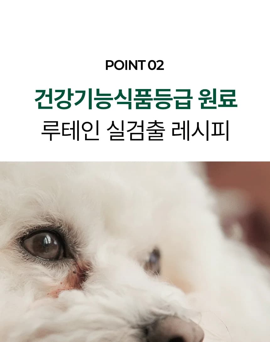 데일리케얼 루테인 3.0 (66g/120g)