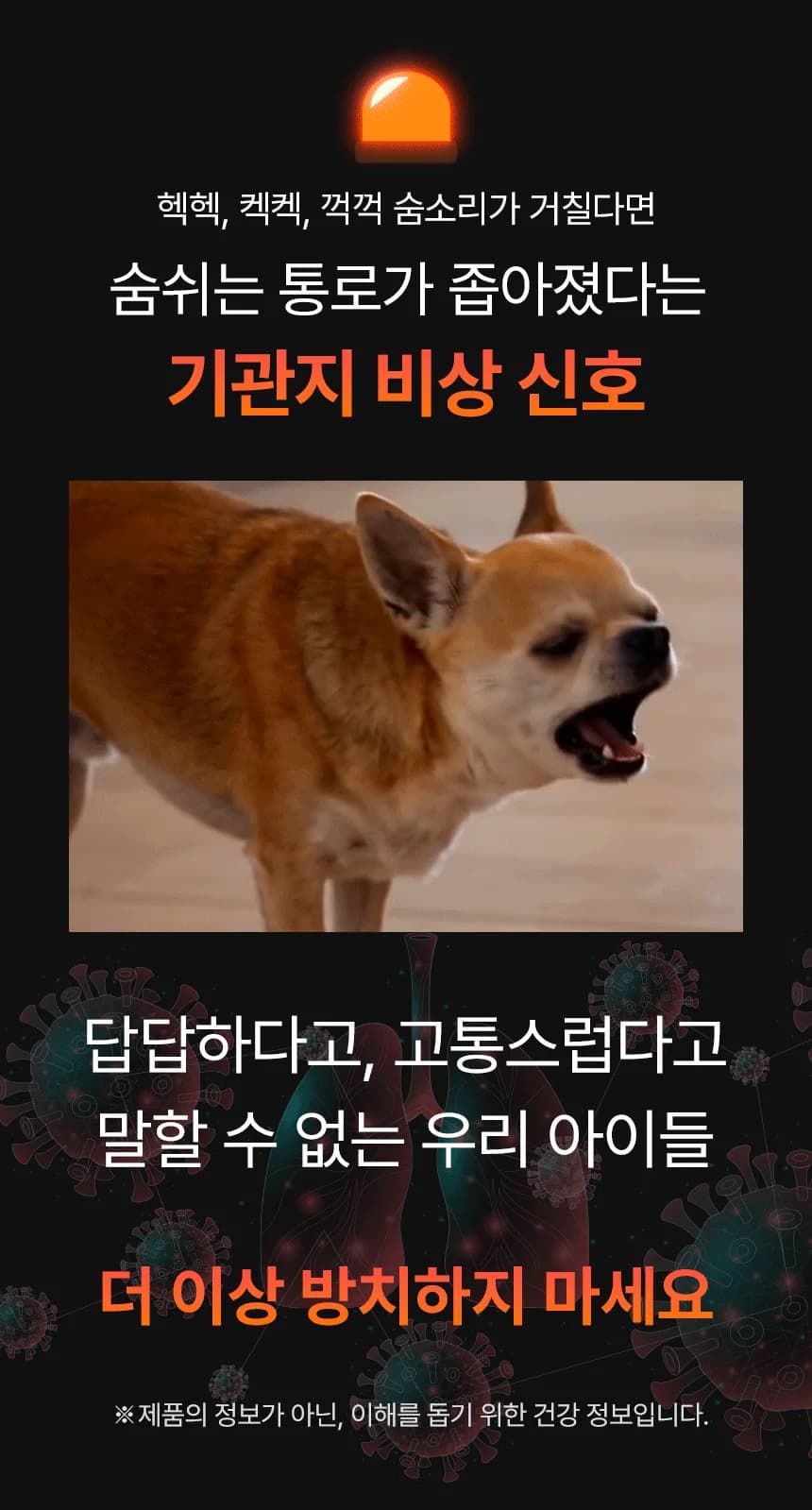 데일리케얼 브레스 3.0 (66g/120g)