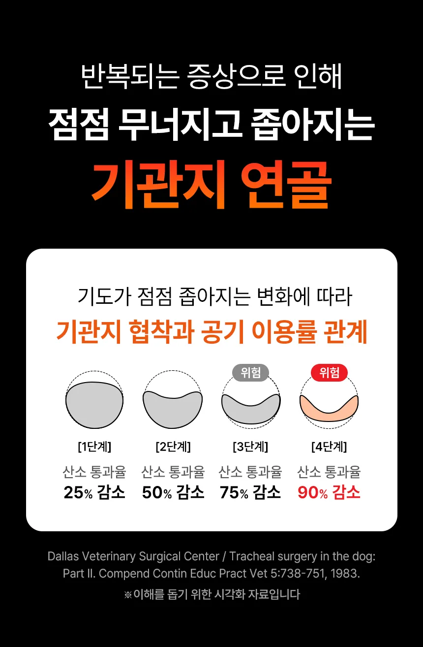 데일리케얼 브레스 3.0 (66g/120g)
