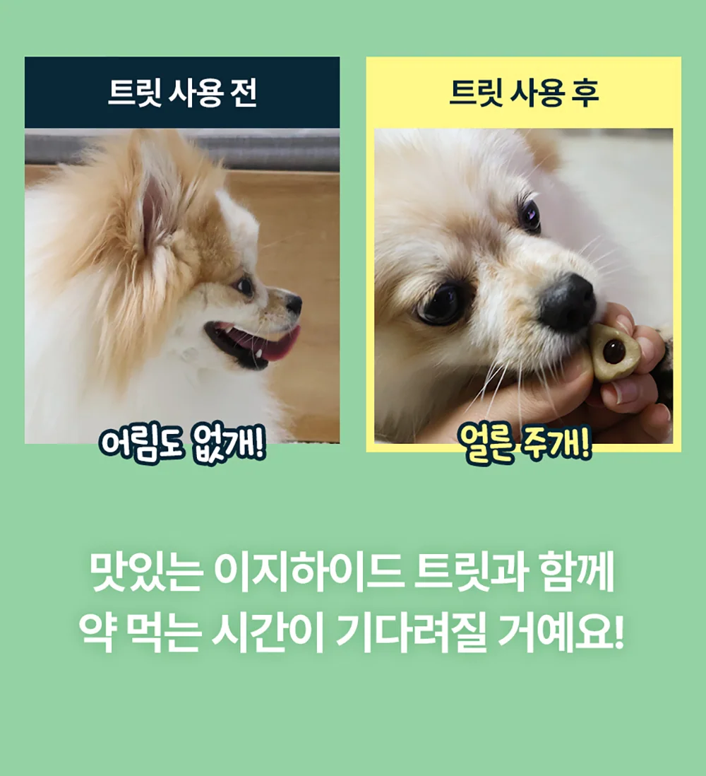 이지하이드