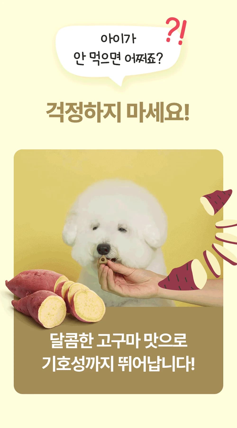 이지하이드