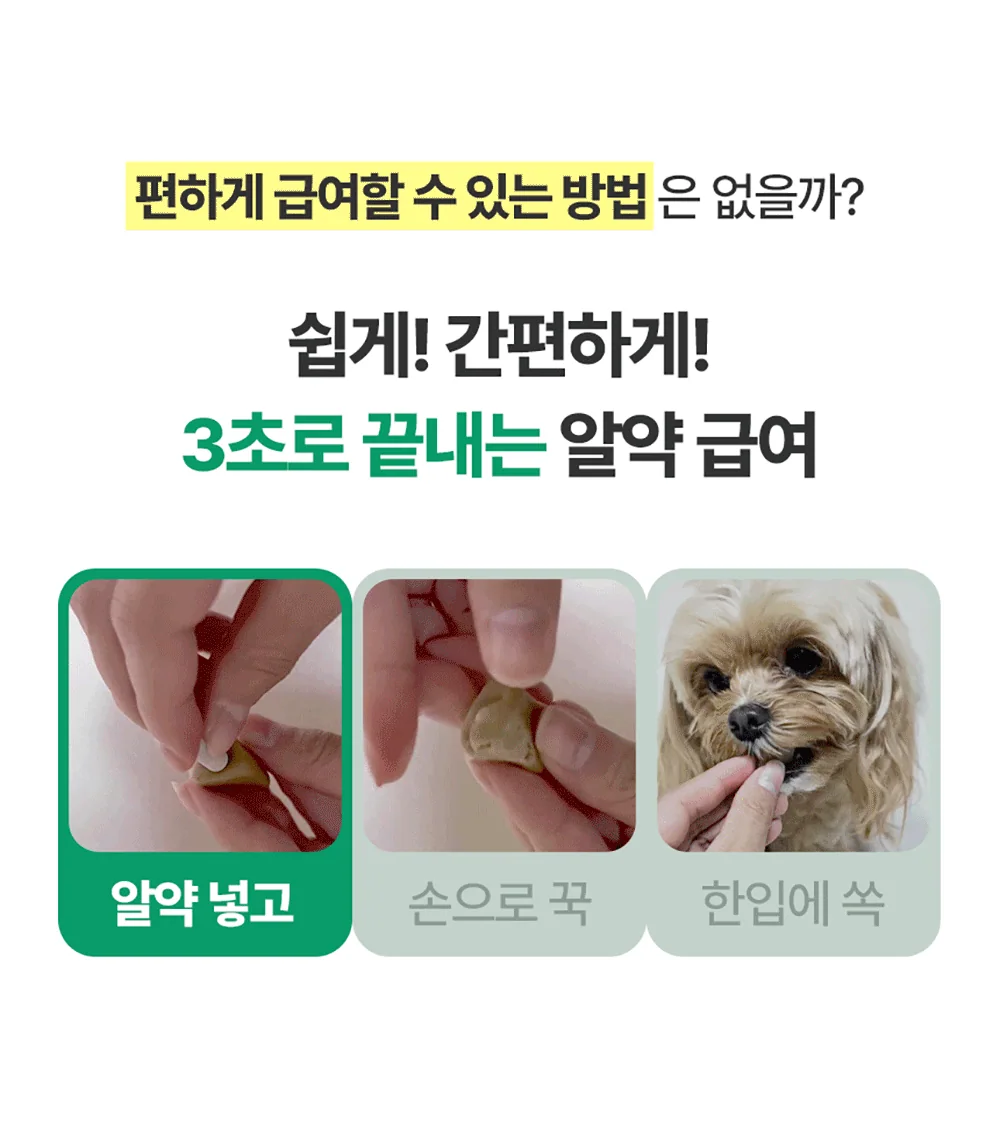 이지하이드