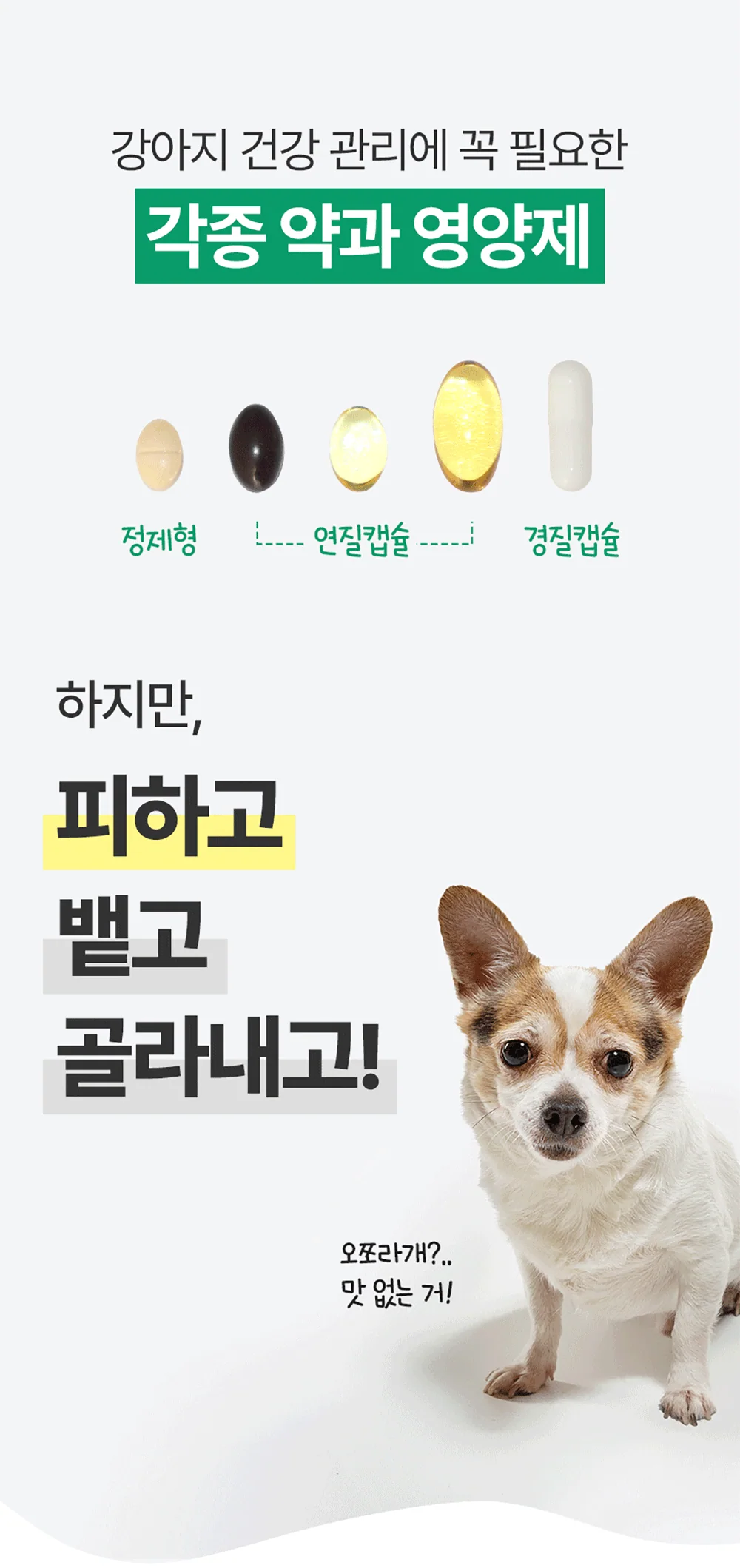 이지하이드